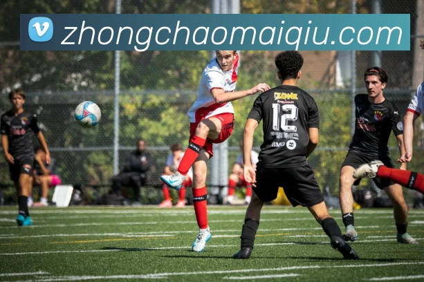 多媒体互动体验